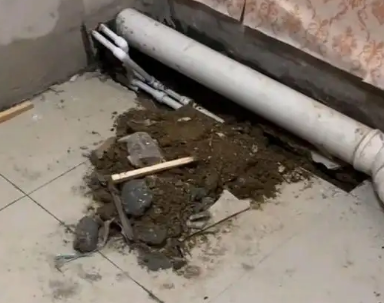 获嘉卫生间漏水检测哪家好